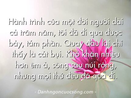 Hành trình của một đời người dài cả trăm năm, tôi đã đi qua được bảy, tám phần. Quay đầu lại chỉ thấy là cát bụi. Khó khăn nhiều hơn êm ả, sông sâu núi rộng, nhưng mọi thứ đều đã qua đi.