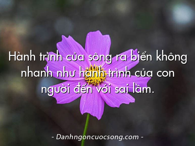 Hành trình của sông ra biển không nhanh như hành trình của con người đến với sai lầm.