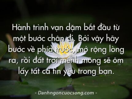 Hành trình vạn dặm bắt đầu từ một bước chân đi. Bởi vậy hãy bước về phía trước, mở rộng lòng ra, rồi đất trời mênh mông sẽ ôm lấy tất cả tin yêu trong bạn.