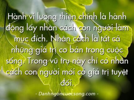 Hành vi lương thiện chính là hành động lấy nhân cách con người làm mục đích. Nhân cách là tất cả những giá trị cơ bản trong cuộc sống. Trong vũ trụ này chỉ có nhân cách con người mới có giá trị tuyệt đối.