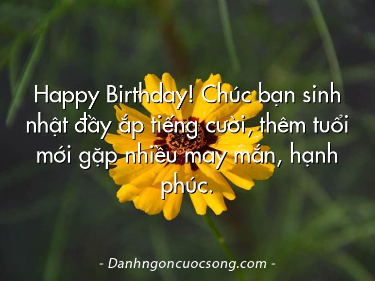 Happy Birthday! Chúc bạn sinh nhật đầy ắp tiếng cười, thêm tuổi mới gặp nhiều may mắn, hạnh phúc.