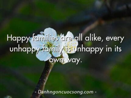 Happy families are all alike, every unhappy family is unhappy in its own way.