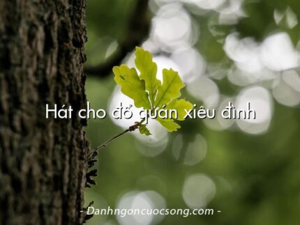 Hát cho đổ quán xiêu đình