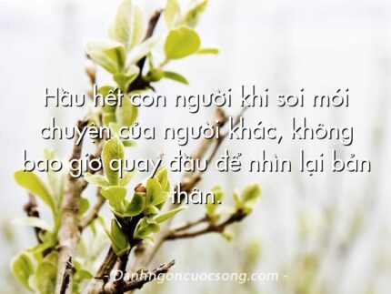 Hầu hết con người khi soi mói chuyện của người khác, không bao giờ quay đầu để nhìn lại bản thân.