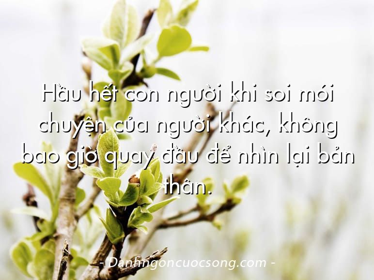 Hầu hết con người khi soi mói chuyện của người khác, không bao giờ quay đầu để nhìn lại bản thân.