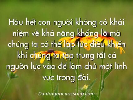 Hầu hết con người không có khái niệm về khả năng khổng lồ mà chúng ta có thể lập tức điều khiển khi chúng ta tập trung tất cả nguồn lực vào để làm chủ một lĩnh vực trong đời.