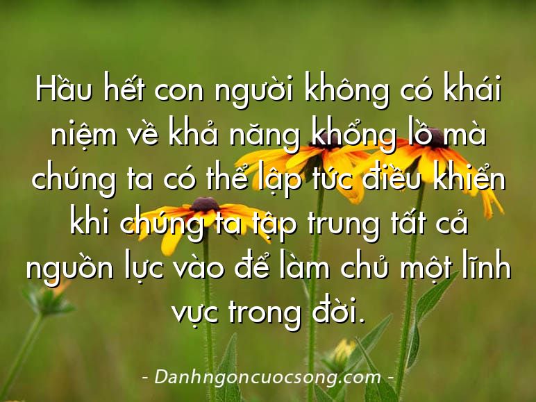 Hầu hết con người không có khái niệm về khả năng khổng lồ mà chúng ta có thể lập tức điều khiển khi chúng ta tập trung tất cả nguồn lực vào để làm chủ một lĩnh vực trong đời.