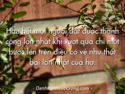 Hầu hết mọi người đạt được thành công lớn nhất khi vượt qua chỉ một bước lên trên điều có vẻ như thất bại lớn nhất của họ.