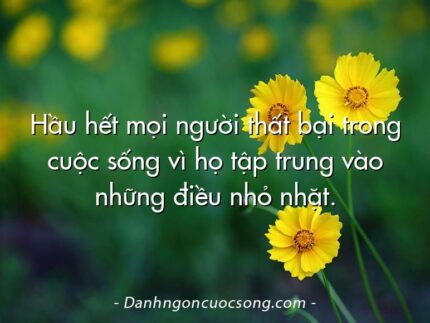 Hầu hết mọi người thất bại trong cuộc sống vì họ tập trung vào những điều nhỏ nhặt.