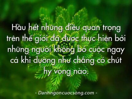 Hầu hết những điều quan trọng trên thế giới đã được thực hiện bởi những người không bỏ cuộc ngay cả khi dường như chẳng có chút hy vọng nào.