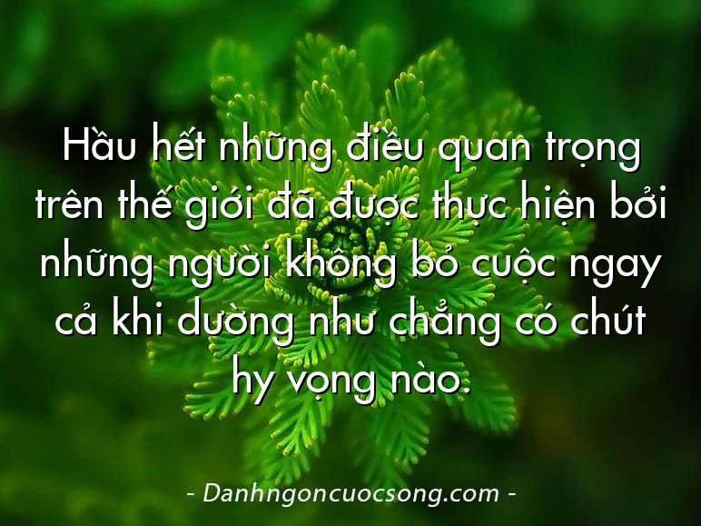 Hầu hết những điều quan trọng trên thế giới đã được thực hiện bởi những người không bỏ cuộc ngay cả khi dường như chẳng có chút hy vọng nào.