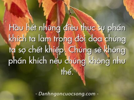 Hầu hết những điều thực sự phấn khích ta làm trong đời dọa chúng ta sợ chết khiếp. Chúng sẽ không phấn khích nếu chúng không như thế.