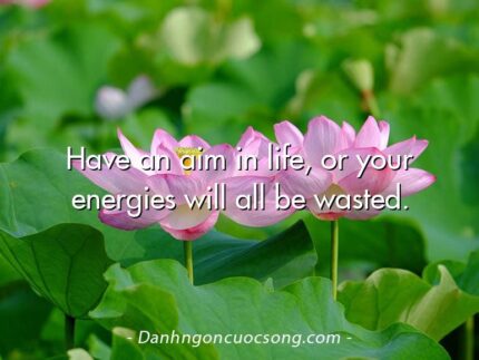 Have an aim in life, or your energies will all be wasted.