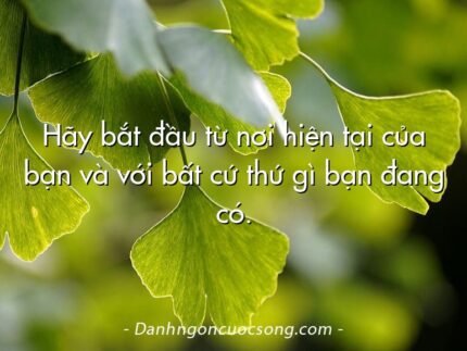 Hãy bắt đầu từ nơi hiện tại của bạn và với bất cứ thứ gì bạn đang có.