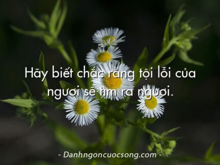 Hãy biết chắc rằng tội lỗi của ngươi sẽ tìm ra ngươi.