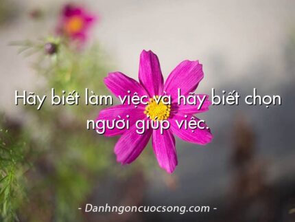 Hãy biết làm việc và hãy biết chọn người giúp việc.