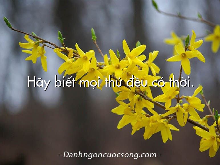 Hãy biết mọi thứ đều có thời.