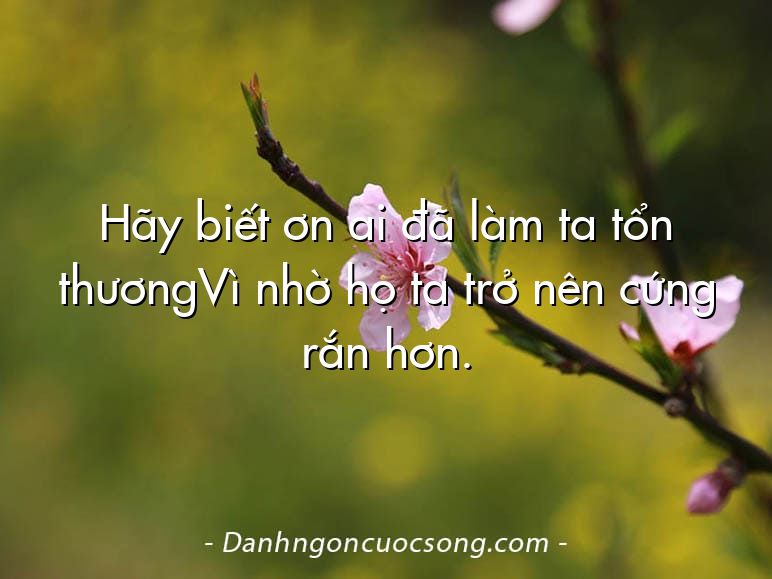 Hãy biết ơn ai đã làm ta tổn thươngVì nhờ họ ta trở nên cứng rắn hơn.