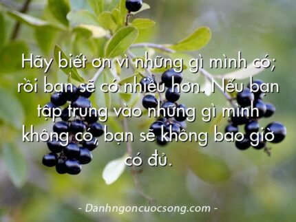 Hãy biết ơn vì những gì mình có; rồi bạn sẽ có nhiều hơn. Nếu bạn tập trung vào những gì mình không có, bạn sẽ không bao giờ có đủ.
