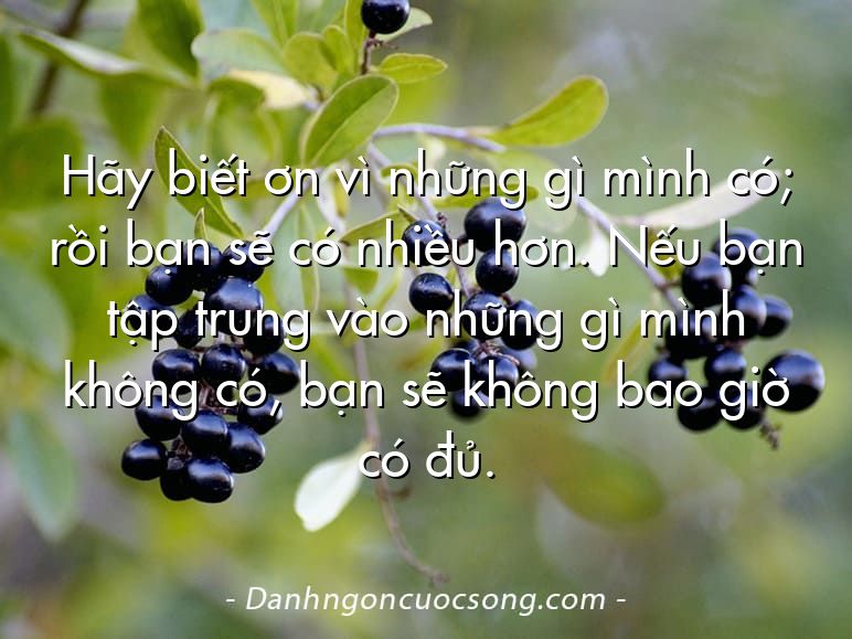 Hãy biết ơn vì những gì mình có; rồi bạn sẽ có nhiều hơn. Nếu bạn tập trung vào những gì mình không có, bạn sẽ không bao giờ có đủ.