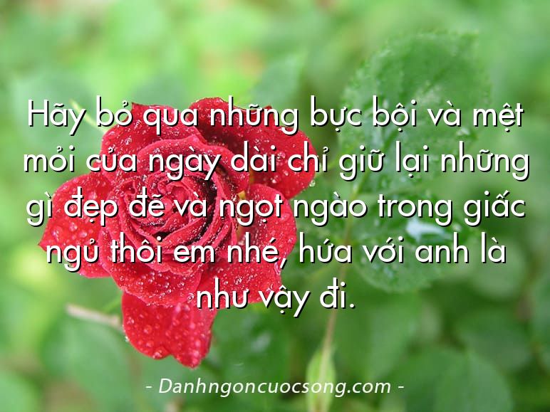 Hãy bỏ qua những bực bội và mệt mỏi của ngày dài chỉ giữ lại những gì đẹp đẽ và ngọt ngào trong giấc ngủ thôi em nhé, hứa với anh là như vậy đi.
