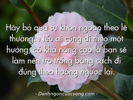 Hãy bỏ qua sự khôn ngoan theo lẽ thường. Nếu ai cũng đi theo một hướng, có khả năng cao là bạn sẽ làm nên trò trống bằng cách đi đúng theo hướng ngược lại.