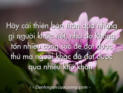 Hãy cải thiện bản thân qua những gì người khác viết, nhờ đó không tốn nhiều công sức để đạt được thứ mà người khác đã đạt được qua nhiều khó khăn.