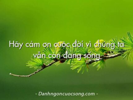 Hãy cảm ơn cuộc đời vì chúng ta vẫn còn đang sống