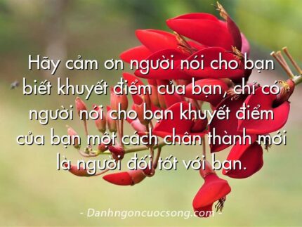 Hãy cảm ơn người nói cho bạn biết khuyết điểm của bạn, chỉ có người nói cho bạn khuyết điểm của bạn một cách chân thành mới là người đối tốt với bạn.