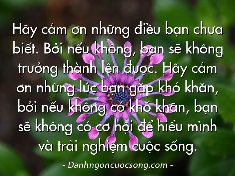 Hãy cảm ơn những điều bạn chưa biết. Bởi nếu không, bạn sẽ không trưởng thành lên được. Hãy cảm ơn những lúc bạn gặp khó khăn, bởi nếu không có khó khăn, bạn sẽ không có cơ hội để hiểu mình và trải nghiệm cuộc sống.