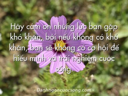 Hãy cảm ơn những lúc bạn gặp khó khăn, bởi nếu không có khó khăn, bạn sẽ không có cơ hội để hiểu mình và trải nghiệm cuộc sống.
