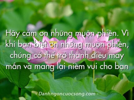 Hãy cảm ơn những muộn phiền. Vì khi bạn biết ơn những muộn phiền, chúng có thể trở thành điều may mắn và mang lại niềm vui cho bạn