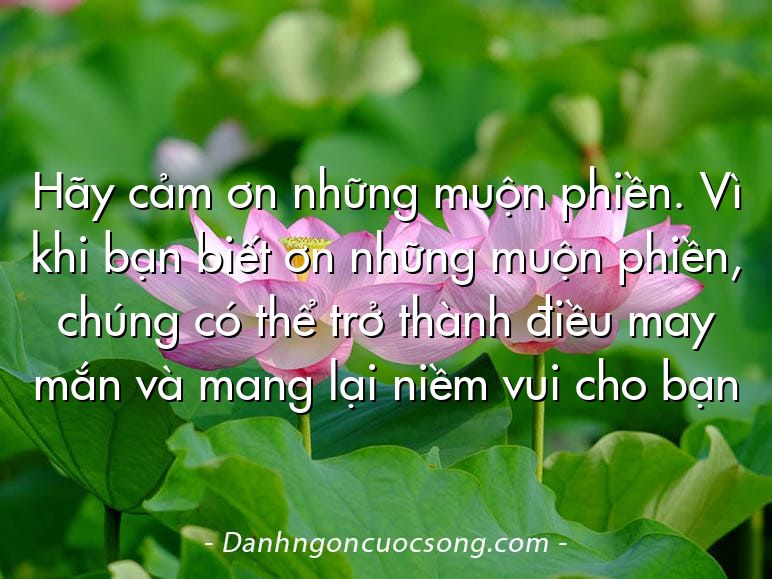 Hãy cảm ơn những muộn phiền. Vì khi bạn biết ơn những muộn phiền, chúng có thể trở thành điều may mắn và mang lại niềm vui cho bạn