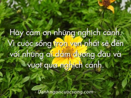 Hãy cảm ơn những nghịch cảnh. Vì cuộc sống trọn vẹn nhất sẽ đến với những ai dám đương đầu và vượt qua nghịch cảnh.