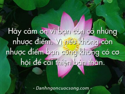 Hãy cảm ơn vì bạn còn có những nhược điểm. Vì nếu không còn nhược điểm bạn cũng không có cơ hội để cải thiện bản thân.