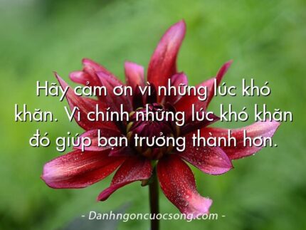 Hãy cảm ơn vì những lúc khó khăn. Vì chính những lúc khó khăn đó giúp bạn trưởng thành hơn.
