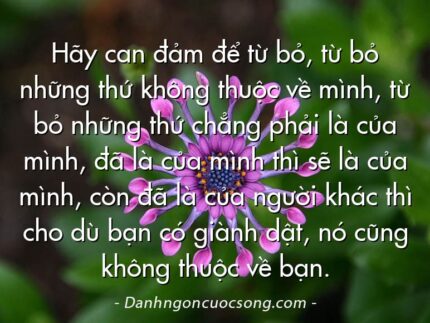 Hãy can đảm để từ bỏ, từ bỏ những thứ không thuộc về mình, từ bỏ những thứ chẳng phải là của mình, đã là của mình thì sẽ là của mình, còn đã là của người khác thì cho dù bạn có giành dật, nó cũng không thuộc về bạn.