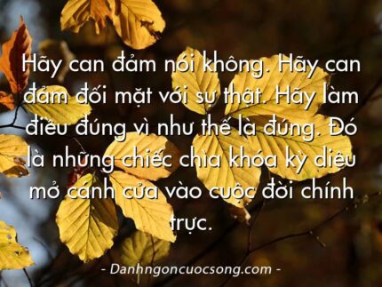 Hãy can đảm nói không. Hãy can đảm đối mặt với sự thật. Hãy làm điều đúng vì như thế là đúng. Đó là những chiếc chìa khóa kỳ diệu mở cánh cửa vào cuộc đời chính trực.
