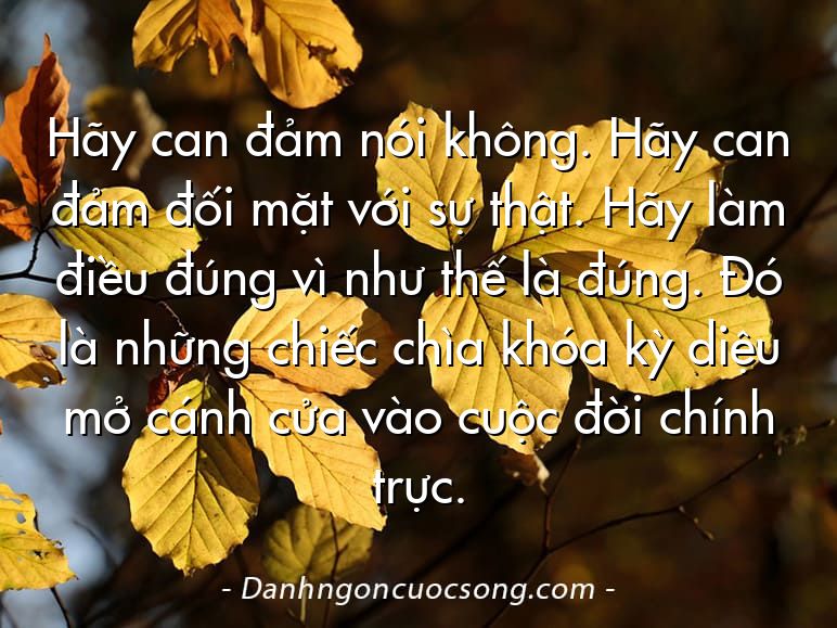 Hãy can đảm nói không. Hãy can đảm đối mặt với sự thật. Hãy làm điều đúng vì như thế là đúng. Đó là những chiếc chìa khóa kỳ diệu mở cánh cửa vào cuộc đời chính trực.