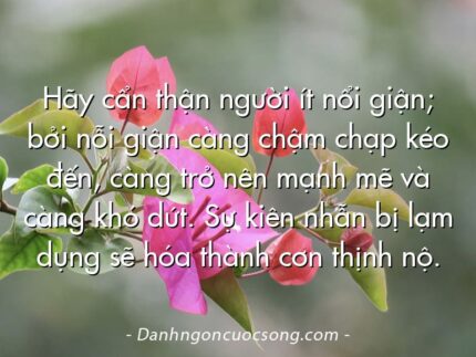 Hãy cẩn thận người ít nổi giận; bởi nỗi giận càng chậm chạp kéo đến, càng trở nên mạnh mẽ và càng khó dứt. Sự kiên nhẫn bị lạm dụng sẽ hóa thành cơn thịnh nộ.