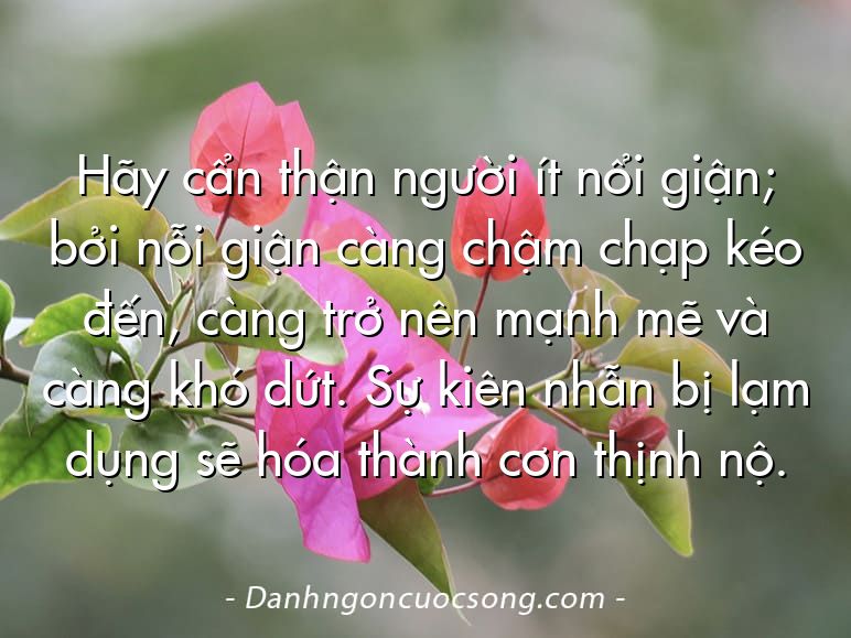 Hãy cẩn thận người ít nổi giận; bởi nỗi giận càng chậm chạp kéo đến, càng trở nên mạnh mẽ và càng khó dứt. Sự kiên nhẫn bị lạm dụng sẽ hóa thành cơn thịnh nộ.