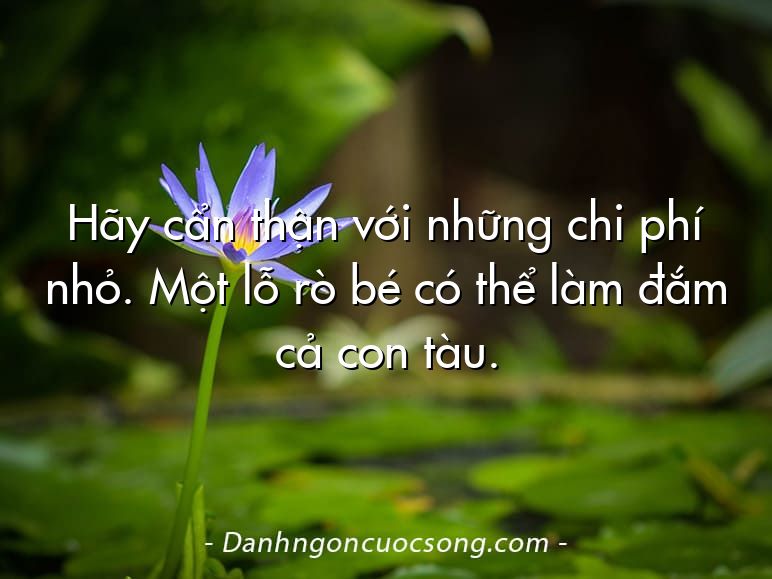 Hãy cẩn thận với những chi phí nhỏ. Một lỗ rò bé có thể làm đắm cả con tàu.