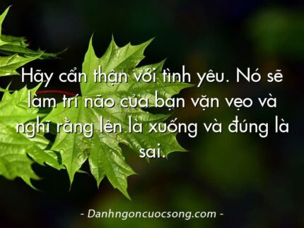 Hãy cẩn thận với tình yêu. Nó sẽ làm trí não của bạn vặn vẹo và nghĩ rằng lên là xuống và đúng là sai.