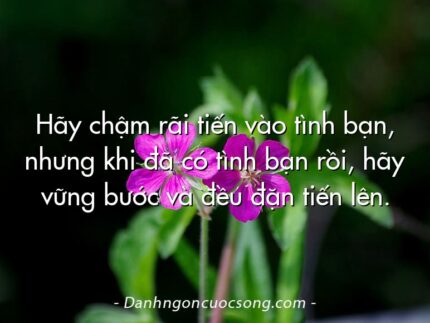 Hãy chậm rãi tiến vào tình bạn, nhưng khi đã có tình bạn rồi, hãy vững bước và đều đặn tiến lên.
