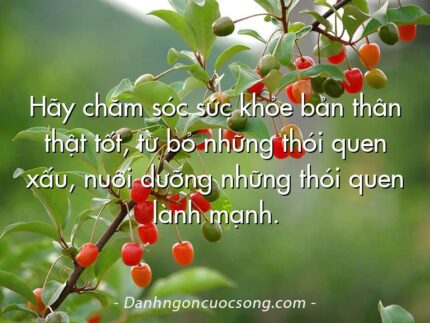 Hãy chăm sóc sức khỏe bản thân thật tốt, từ bỏ những thói quen xấu, nuôi dưỡng những thói quen lành mạnh.