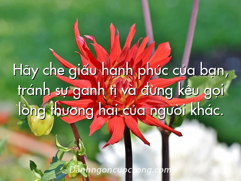 Hãy che giấu hạnh phúc của bạn, tránh sự ganh tị và đừng kêu gọi lòng thương hại của người khác.