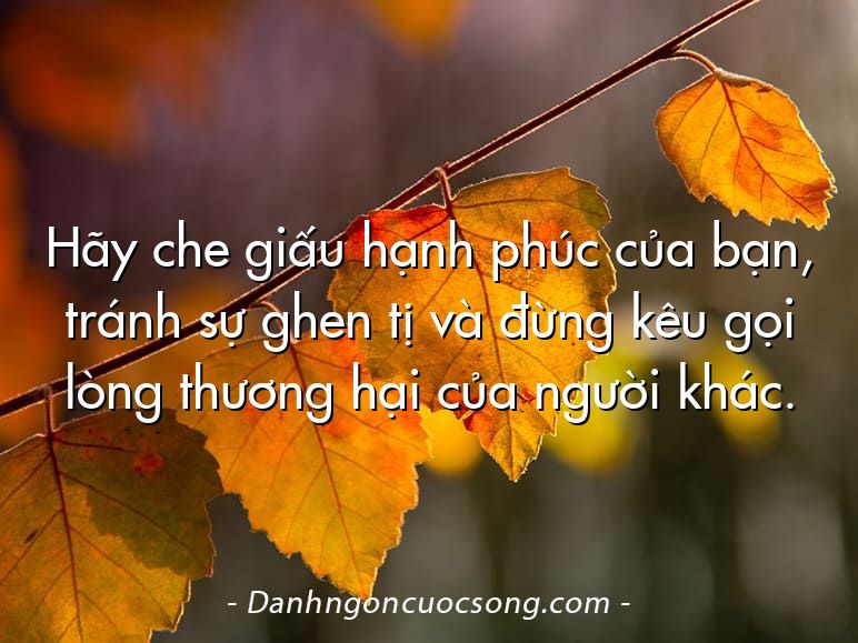 Hãy che giấu hạnh phúc của bạn, tránh sự ghen tị và đừng kêu gọi lòng thương hại của người khác.