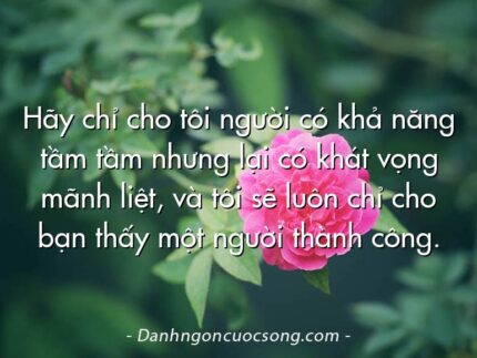Hãy chỉ cho tôi người có khả năng tầm tầm nhưng lại có khát vọng mãnh liệt, và tôi sẽ luôn chỉ cho bạn thấy một người thành công.