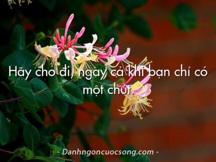 Hãy cho đi, ngay cả khi bạn chỉ có một chút.