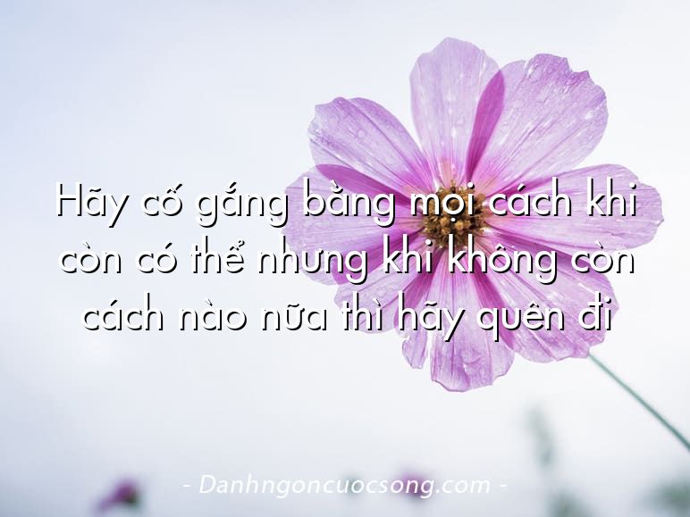 Hãy cố gắng bằng mọi cách khi còn có thể nhưng khi không còn cách nào nữa thì hãy quên đi